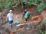 IDR-Paraná beneficia nove famílias e 48 pessoas com proteção de fontes em Rio Branco do Sul