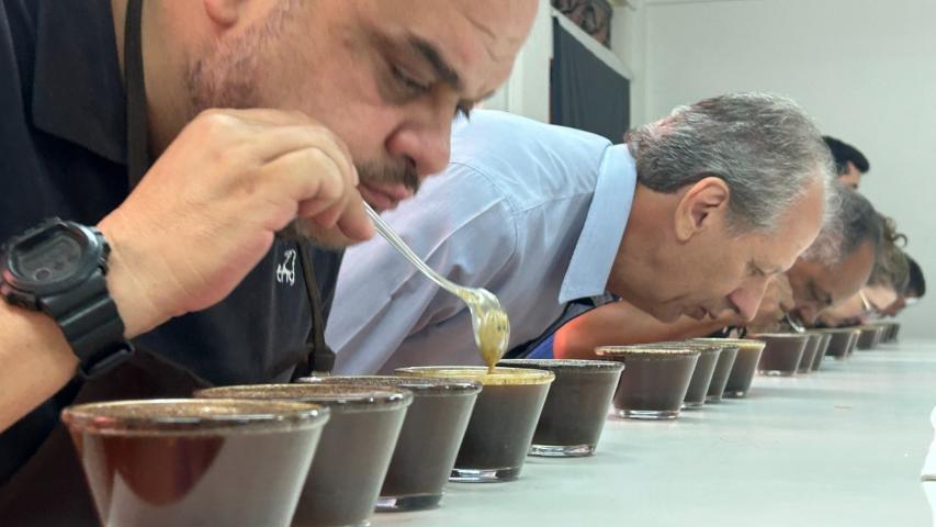 Curso do IDR-Paraná vai formar provadores de café 